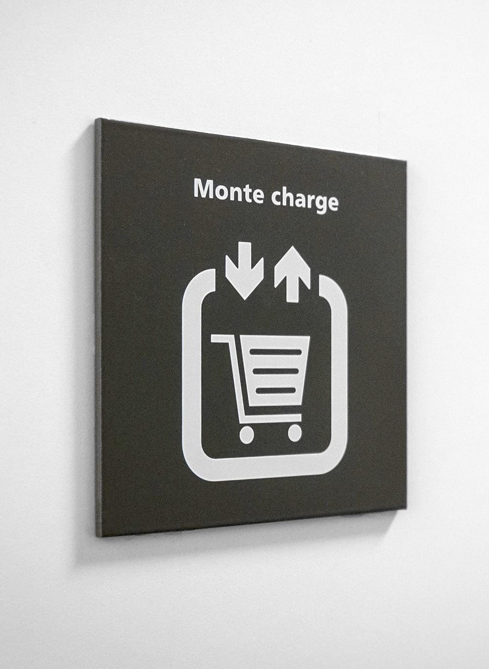 pictogramme monte charge gris foncé sécu100 marcal sur mur blanc