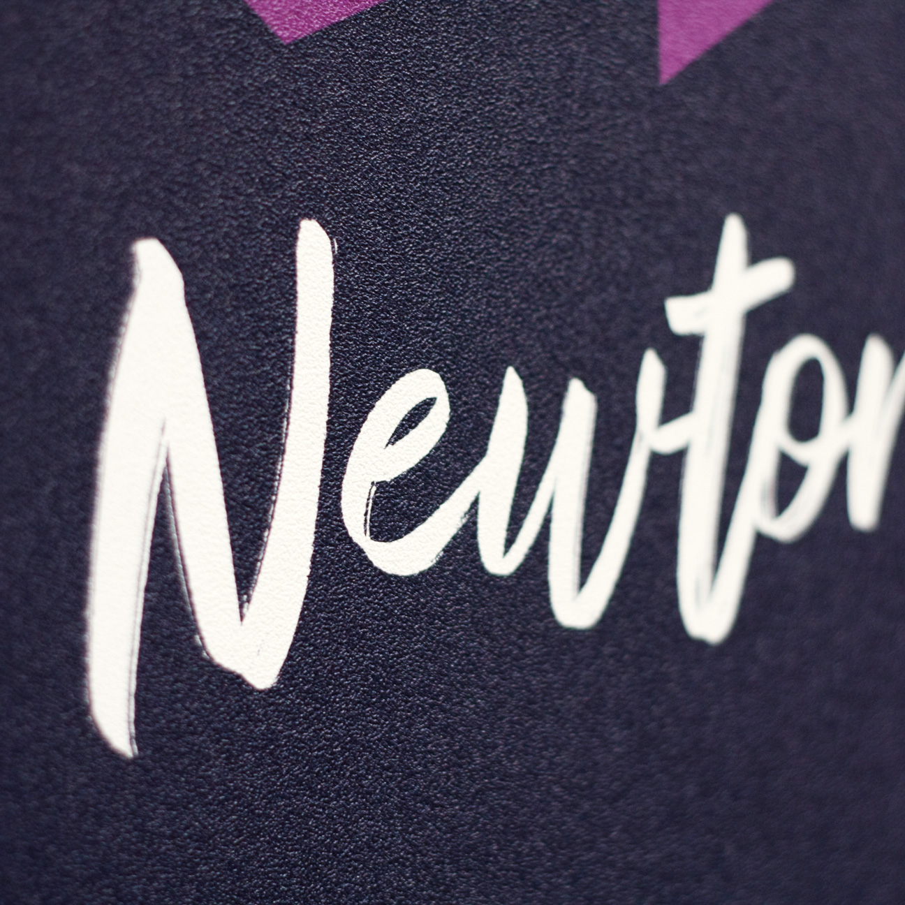 typographie manuscrite signature de Newton