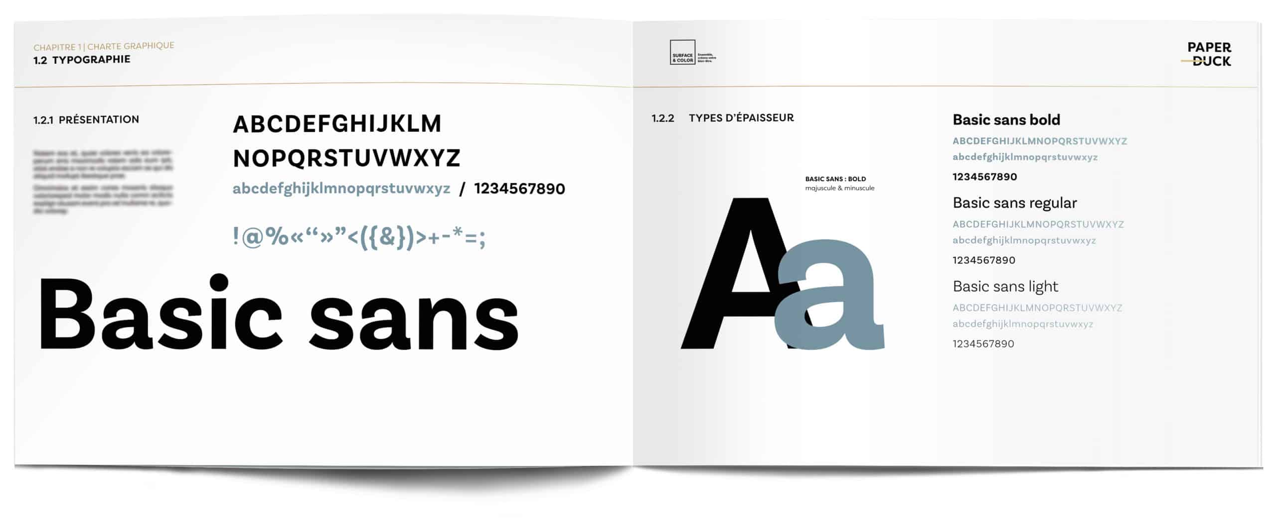 charte graphique de la société surface et color: présentation de la typographie choisie "Basis sans" et des ses variantes