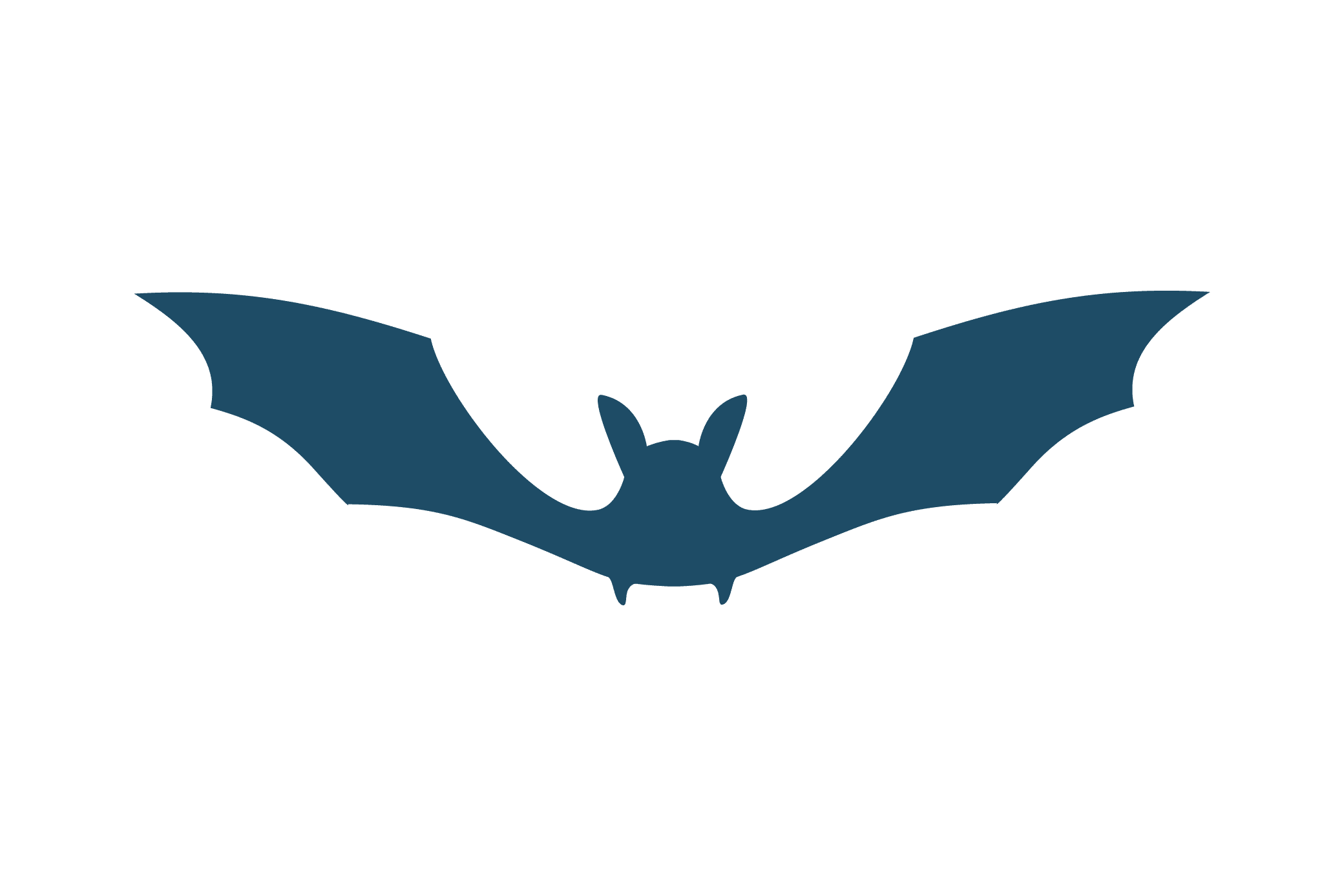 Illustration d'une chauve souris réalisée dans le cadre du rapport annuel de la SWDE