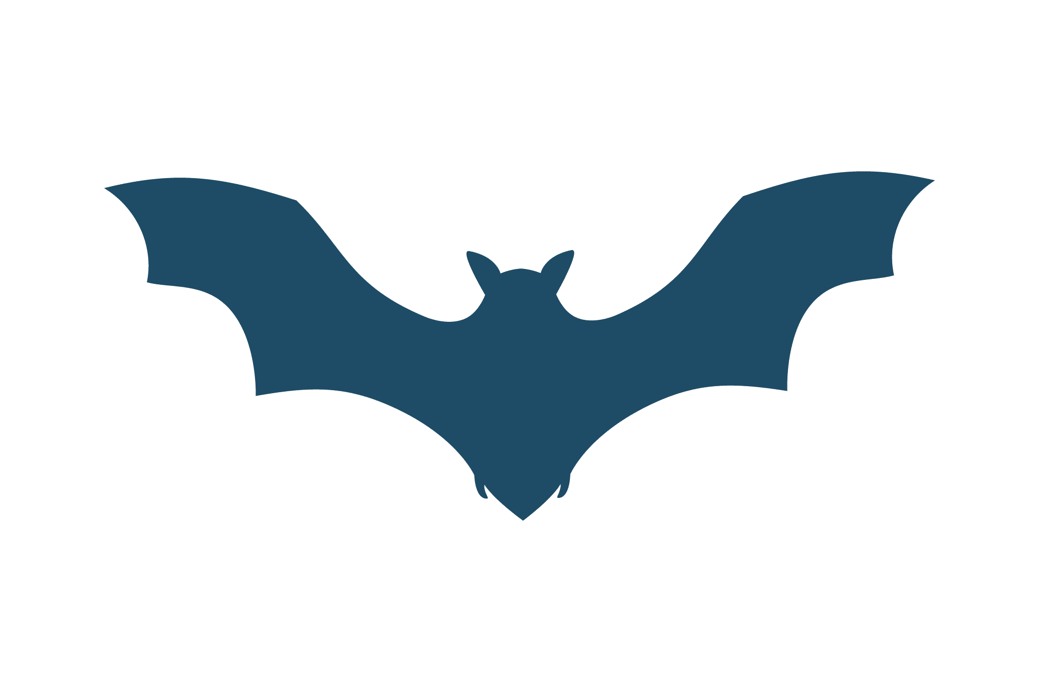 Illustration d'une chauve souris réalisée dans le cadre du rapport annuel de la SWDE