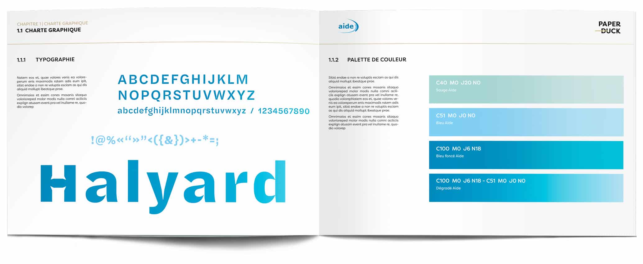 charte graphique du rapport annuel AIDE
