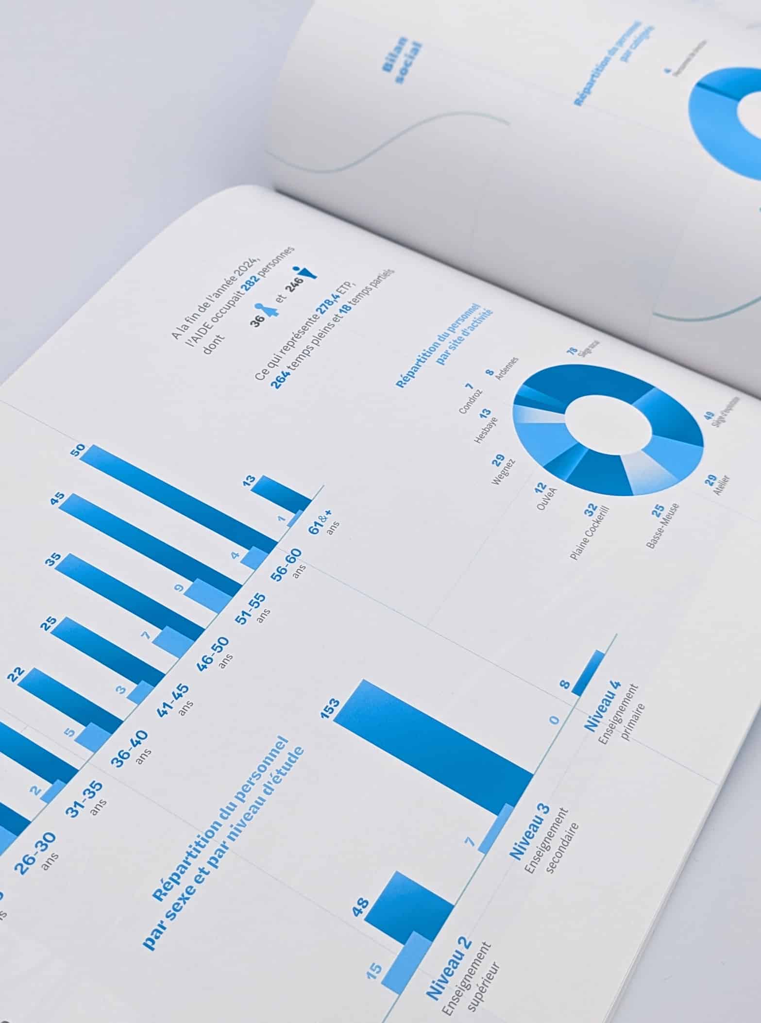 graphiques et schéma de statistiques